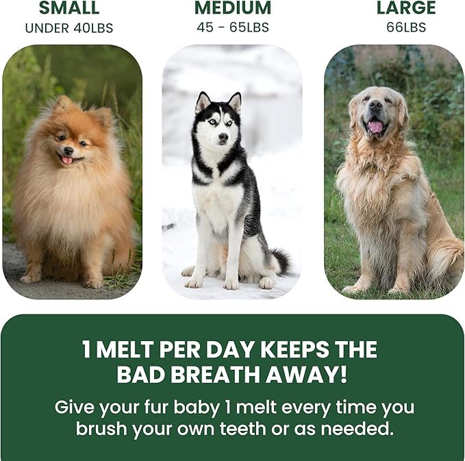 Dog Breath Freshener 5 in 1 – 30 Oral Strips – Natural Sage, Spirulina, Apple Cider Vinegar – Dogs Dental Care Products, Fresh Breath & Oral Hygiene Support – No Chew Dog Breath Mints