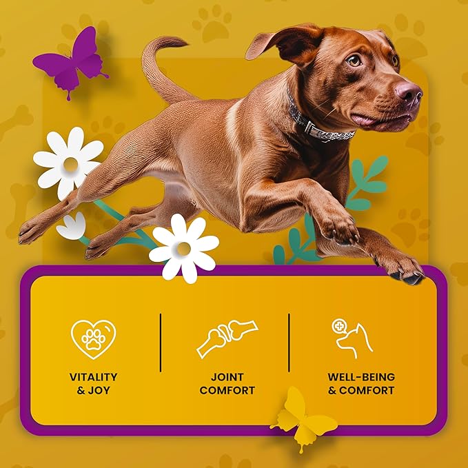 Hip and Joint Supplement for Dogs - Glucosamine Chondroitin for Dogs - Extend Joint Care, Flexibility Support & Bone Strength - With MSM, Hyaluronic Acid, Vitamin B12, B6, B1 & More - 16 Fl Oz