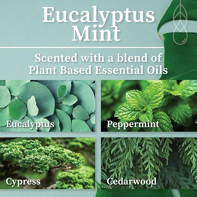 Hemlock Park Crackling Wood Wick Candle Handcrafted with Natural Coconut Wax (Large 16 oz, Eucalyptus Mint)