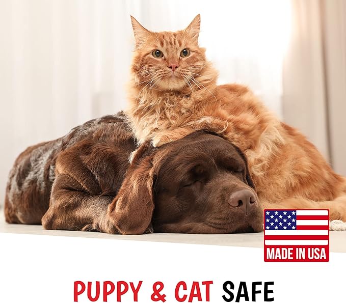 Warren London - Wet Kiss Dog Cologne, Long Lasting Dog Spray, Dog Deodorant to Remove Odor from Stinky Dogs, Papaya & Guava, 2 Ounce Bottle