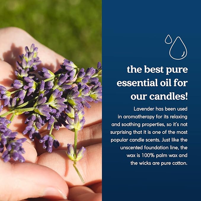 GoodLight Paraffin-Free Scented Candle, Clean Burning Non-Toxic Tin Candles, Lavender Essential Oil Scented Travel Candle 6oz