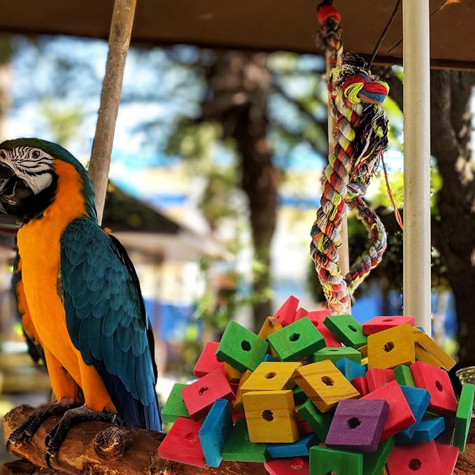 100pcs Parrot Wooden Chewing Toys, Bird Toy Wood Blocks, Mini Wood Chips for DIY Playing Chewing Shredding