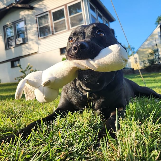 3pc Sustainable Eco-Friendly Durable Cotton Canvas Squeaky Dog Toy Set for Tough Chewers – Harry The Hound, T-Bone & Donut The Round Disk, White (Safe for Pets & Kids)