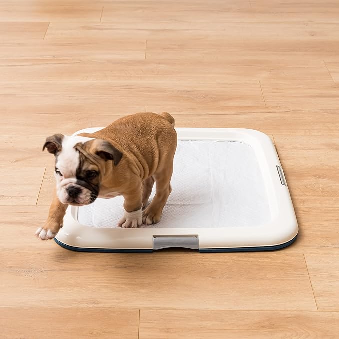 IRIS USA Pee Pad Holder - For Potty Training Regular Sized Dog & Puppy Pee Pads, Secured Latches, Non-Skid Feet, Leak Protection, Fits 22"x22" Pad or Larger, Square, Navy