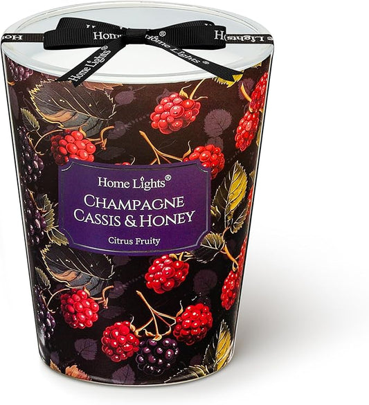 HomeLights Scented Candles for Women & Men, 6.7oz Candle Jars Aromatherapy Single Wick Candle, Ideal for Eclectic Mixed Styles Home Decor and Gifts, Champagne Cassis & Honey
