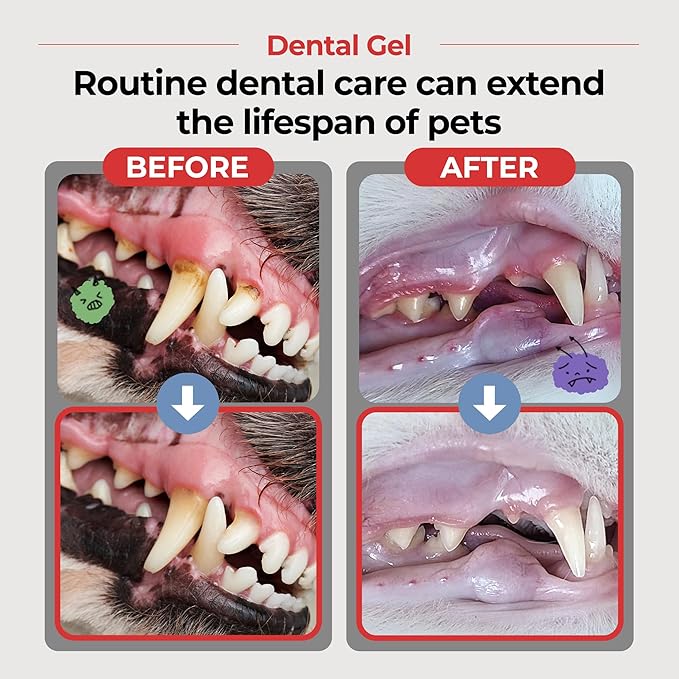 JAYU PET Dental Gel - Dog Cat Toothpaste, Removing Plaque and Tartar, Teeth Cleaning & Breath Freshener, Puppy Kitten Dental Care with Vet Approved (2.82oz. 80g)