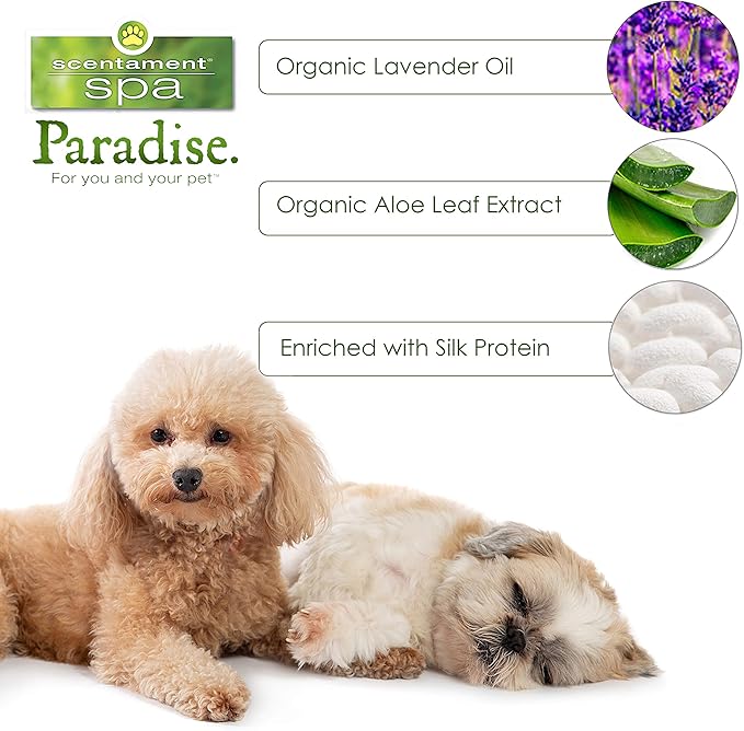 Best Shot Scentament Spa Calming Conditioner, Skin Care Product for a Dog and Cat, Hypoallergenic Puppy Supplies, Lavender Aloe, 16 Ounces