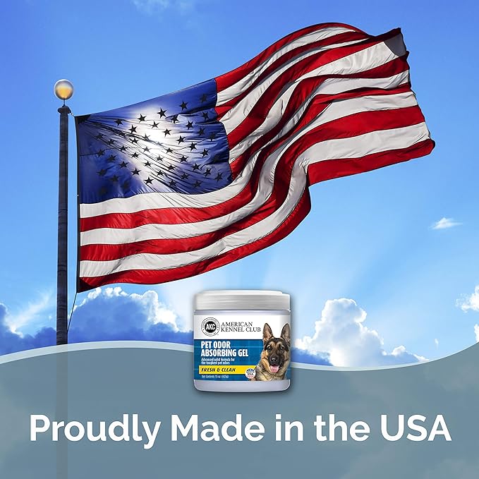 SMELLS BEGONE Pet Odor Absorber Gel - Air Freshener & Odor Eliminator - Made with Essential Oils - Fresh & Clean Scent - 15 Ounce