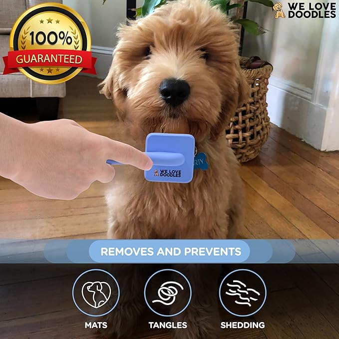 We Love Doodles Grooming Bundle Extra Small Dog Slicker Brush & Lavender USDA Organic Dog Shampoo - for Grooming Pet Hair, Long Pin Brush For Dematting - Sensitive Skin Shampoo for Puppies