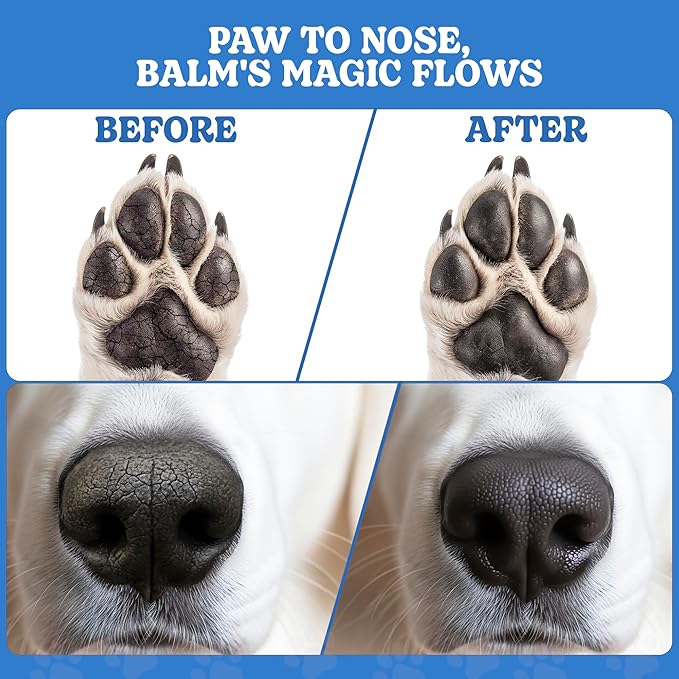 BoneItUp Natural Pet Paw Balm for Dogs, 30g – Soothing Moisture for Dry, Cracked Pads – Paw Butter for Dogs with Beeswax, Mango Butter, Coconut & Olive Oil – Safe & Gentle Dog Palm Balm