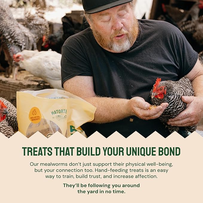 Hatortempt Bulk Dried Mealworms - 10 Lb Bag - Non-GMO Dried Mealworms for Chickens, Ducks & Wild Birds - High-Protein Chicken Feed & Bird Food