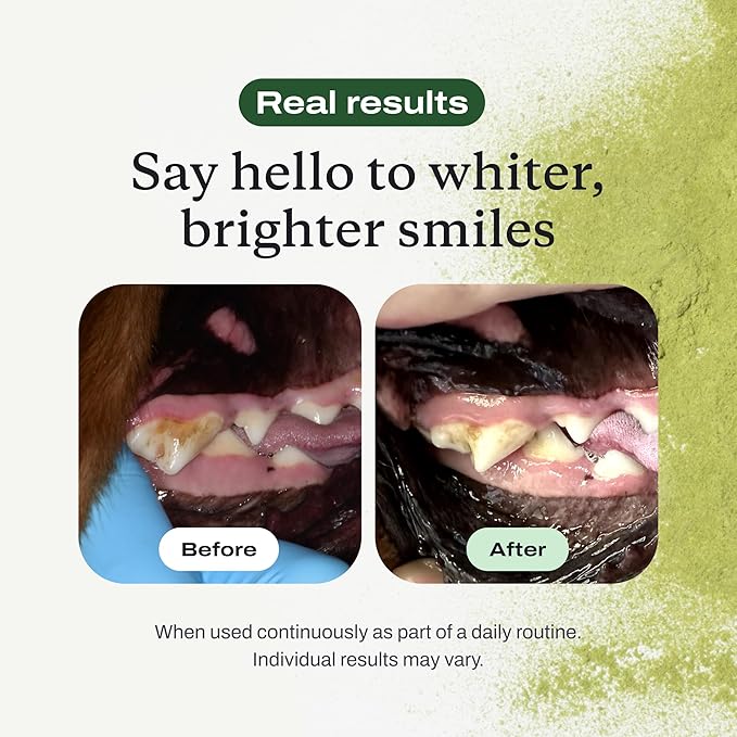 PetLab Co. ProBright Dental Powder - Dog Breath Freshener - Teeth Cleaning Made Easy – Targets Tartar & Bad Breath - Formulated for Large Dogs - Packaging May Vary