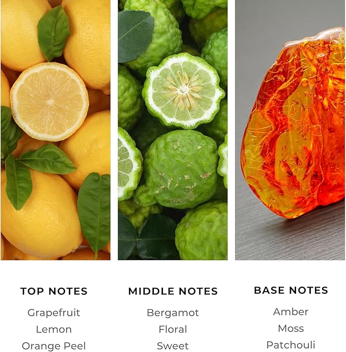 Brilliant Scents Diffuser Oil Refill, Inspired by Creed Aventus Designer Collection Aroma Scents, Essential Oils Set for Home, Fragrance Oil for Candle Making, Hotel, 50ML, Aventus