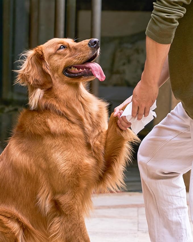 HICC PET Cleaning Deodorizing Wipes for Dogs & Cats, Vet Recommended Nourishes Smoothes Fur Pet Grooming Wipes with Fermented Coconut Oil, Hypoallergenic Plant-Based Wipes for Horse Skin, Coat & Hoof