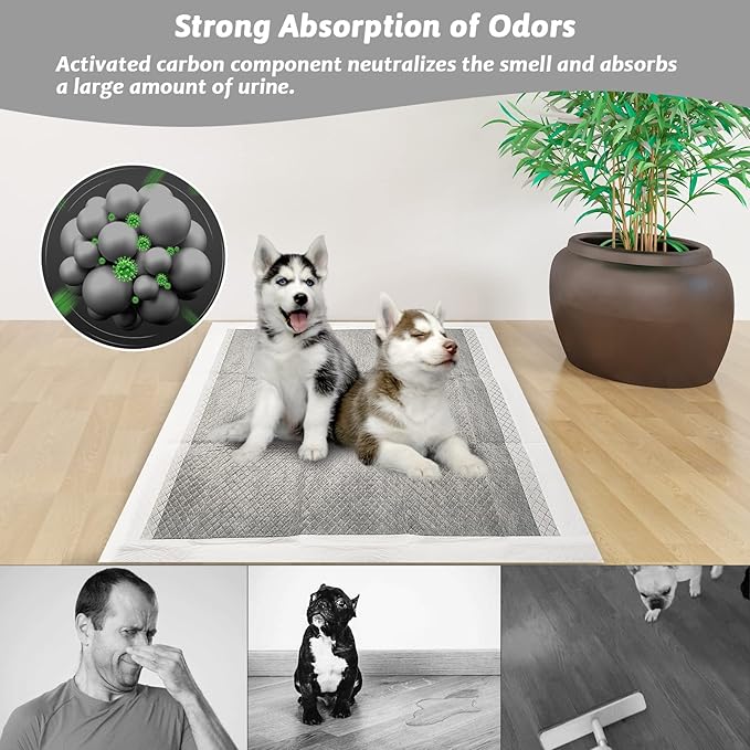 Fhiny Pee Pads for Small Dogs, 24" x 24" 40 PCS Large Disposable Puppy Pads Leak-Proof Super Absorbent Charcoal Potty Training Pad with Quick-Dry Surface for Dogs Puppies Cats Kittens or Small Pets
