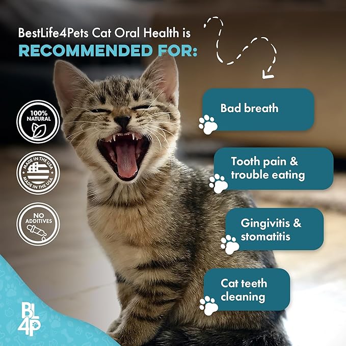 Cat Dental Care Supplement for Bad Breath, Tartar & Gum Support - Natural Cat Teeth Cleaning Oral Tablets Provide Eating & Gum Comfort, Teeth Wellness and Plaque Control, Tiny Dissolvable 400 Pills