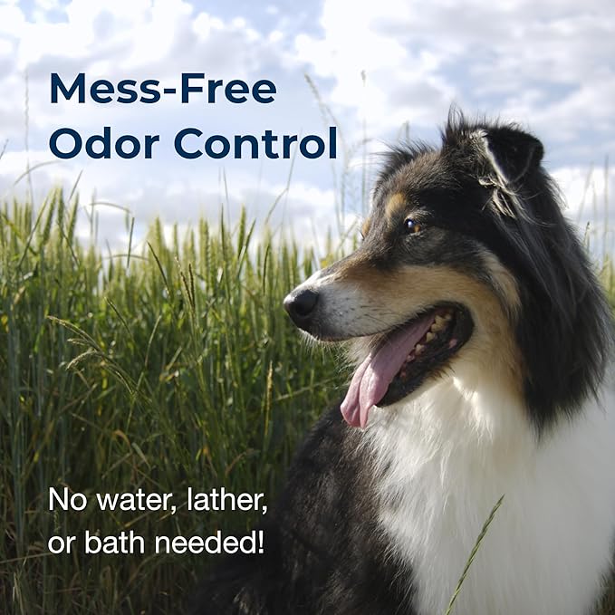 PetAg Fresh ’n Clean Cologne Spray - Floral Scent - 12 oz - Controls Odor & Keeps Dogs Smelling Fresh