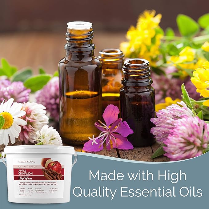 SMELLS BEGONE 1-Gallon Odor Absorber Gel - Air Freshener & Odor Eliminator for Homes, Garages & Commercial Buildings - Industrial Size - Apple Cinnamon Scent