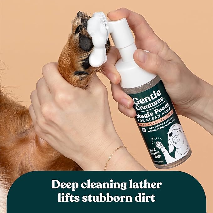 GENTLE CREATURES Magic Foam - Refill - Sulfate-Free, Waterless Shampoo Paw Cleaner for Dogs, Cats, Pets - Dry Shampoo, Foot Cleaner Brush - with Orange, Odor Control Wash - Good for Puppy