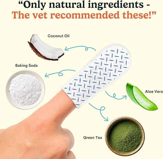 Jasper Dog Dental Wipes, Vet-Recommended All-Natural Finger Toothbrush Wipes for Dogs, Fresh Breath & Tartar Control in Seconds – No Brush and Toothpaste Needed, Unscented, 60 Count