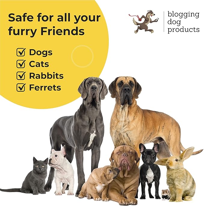 Dog Deodorizing Spray – Pina Colada Scented Dog Perfume for Smelly Dogs – Safe, Refreshing Grooming Spray Pina Colada Dog Cologne & Odor Eliminator – Long‑Lasting Tropical Freshness for Dogs