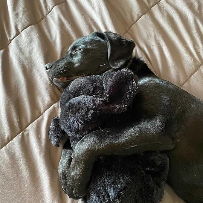 Original Snuggle Puppy Toys for Small Breeds - Heartbeat Puppy for Dogs - Pet Anxiety Relief and Calming Aid - Comfort Dog Toys for Behavioral Training. Heat Pack not Included