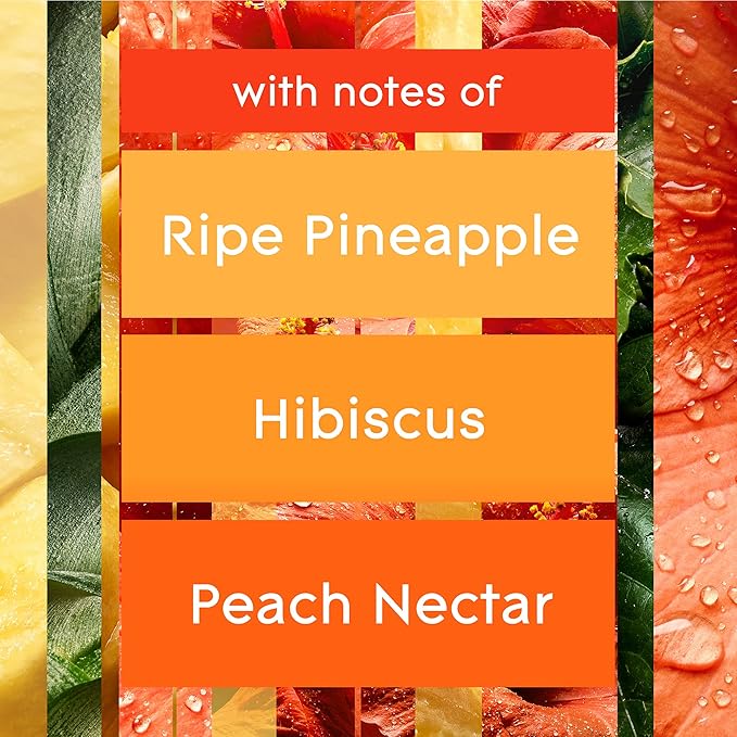 Glade PlugIns Refills Air Freshener, Scented and Essential Oils for Home and Bathroom, Hawaiian Breeze, 3.35 Fl Oz, 5 Count