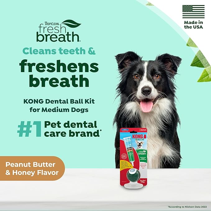 TropiClean Fresh Breath - Kong Dental Ball for Medium Dogs - Dog Teeth Cleaning Kit - Removes Plaque - Peanut Butter & Honey Dog Toothpaste, 1oz