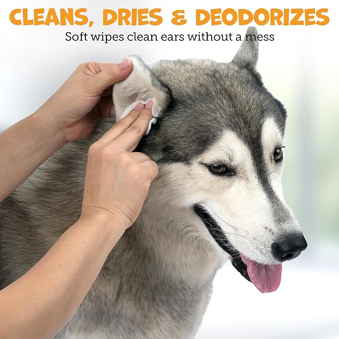 Advanced Ear Wipes for Dogs & Cats with Aloe Vera - Gentle, Non-Irritating Ear Cleaner for Cats and Dogs - Helps Deodorize and Remove Ear Wax - Cucumber Melon Scent (100 Wipes)