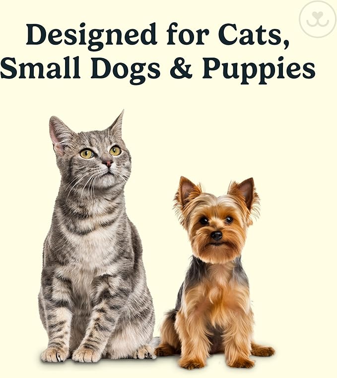 Jasper Microbrush Vet Approved Cat Toothbrush, Soft-Bristled Toothbrush Kit for Felines & Small Dogs, Non-Slip Handle with 2 Replaceable Tooth Brush Heads, Use with Cat Toothpaste