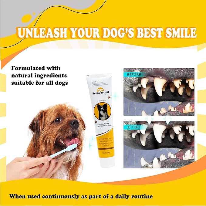 PetnBeyond Dog Toothpaste - Poultry Flavor Teeth Brushing Cleaner, Pet Breath Freshener, Oral Care, Professional Pet Toothpaste for Dogs and Cats. Controls Plaque, Tartar, Bad Breath, Reduces Plaque