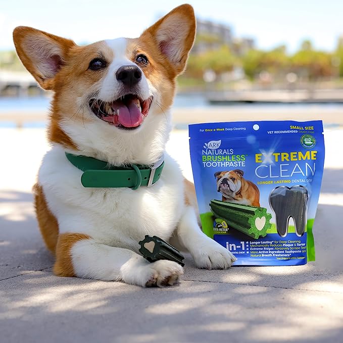 ARK NATURALS Extreme Clean Brushless Toothpaste for Small Breeds, 12 oz Bag, Long-Lasting Dog Dental Chew with Toothpaste Center, Freshens Breath, Reduces Plaque & Tartar (Pack of 6)