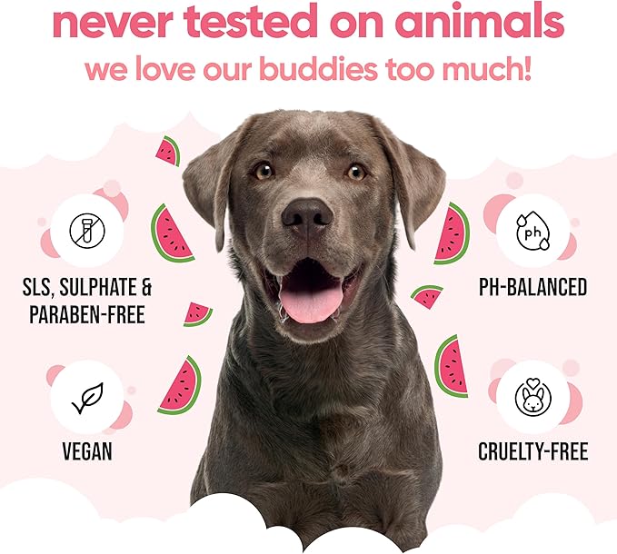 Watermelon Dog Shampoo by Buddycare | with Aloe Vera and Pro Vitamin B5 (50.72oz)