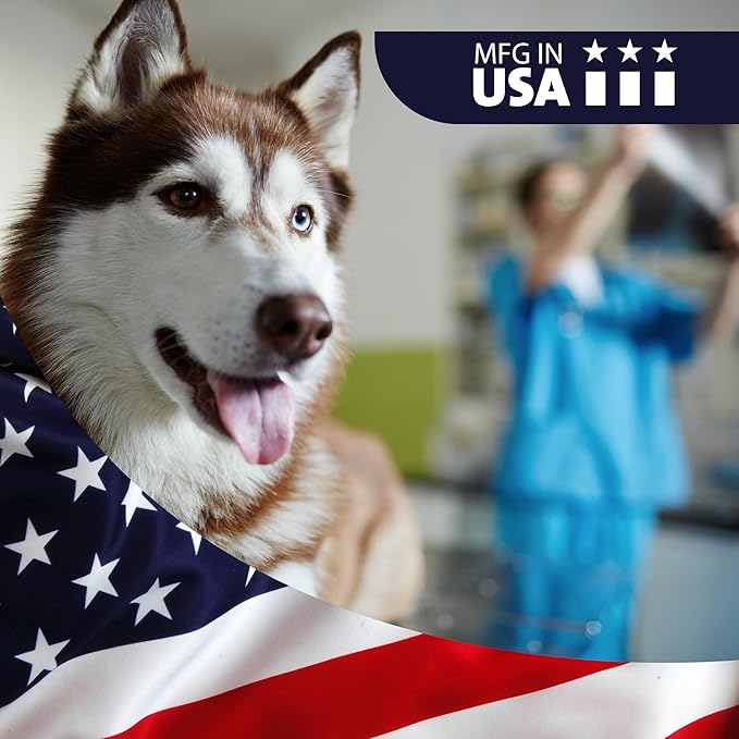 VetWELL Shampoo for Dogs Cats & Horses - Topical Shampoo with Oatmeal & Aloe -12oz Mint Scent