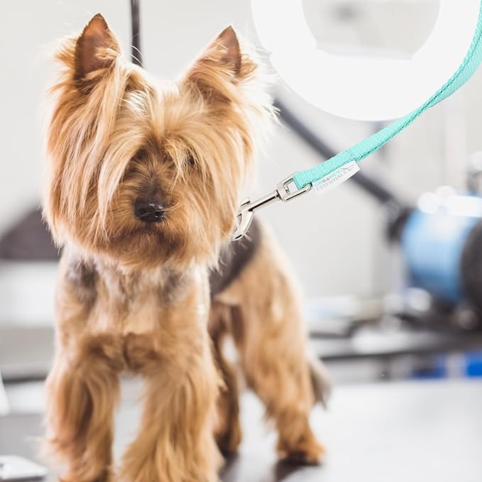 22" Grooming Loops in Turquoise - Secure and Stylish Restraints for Pet Grooming - Set of Essential Tools for Professional and Home Grooming