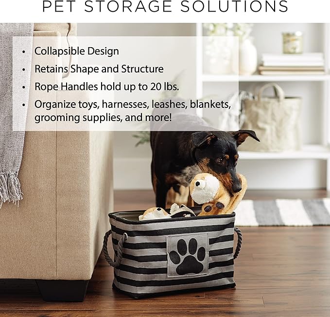 Bone Dry Pet Storage Paw and Bone, Trellis Collection, Small Rectangle, 14x8x9, Stonewash Blue