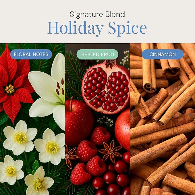Holiday Spice Aroma Oil, Festive Essential Oil Blend for Diffusers & Scent Machines, Floral, Cinnamon & Fruit Notes, Warm Holiday Fragrance, Cold-Air Compatible, 100mL