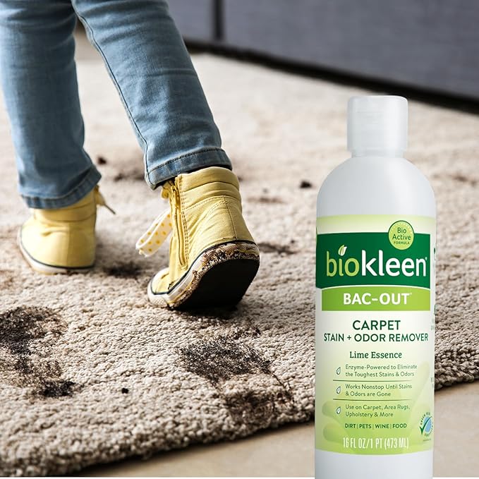 Biokleen Bac-Out Carpet Stain Remover Enzymatic, Destroys Stains & Odors Safely, for Pet Urine, Laundry, Diapers, Wine, Carpets, More, Eco-Friendly, Plant-Based