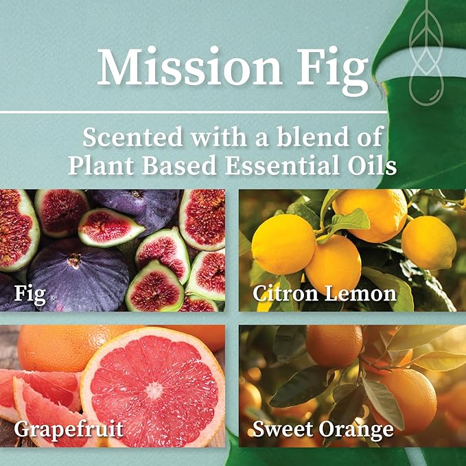 Hemlock Park Crackling Wood Wick Candle Handcrafted with Natural Coconut Wax (Standard 8 oz, Mission Fig)