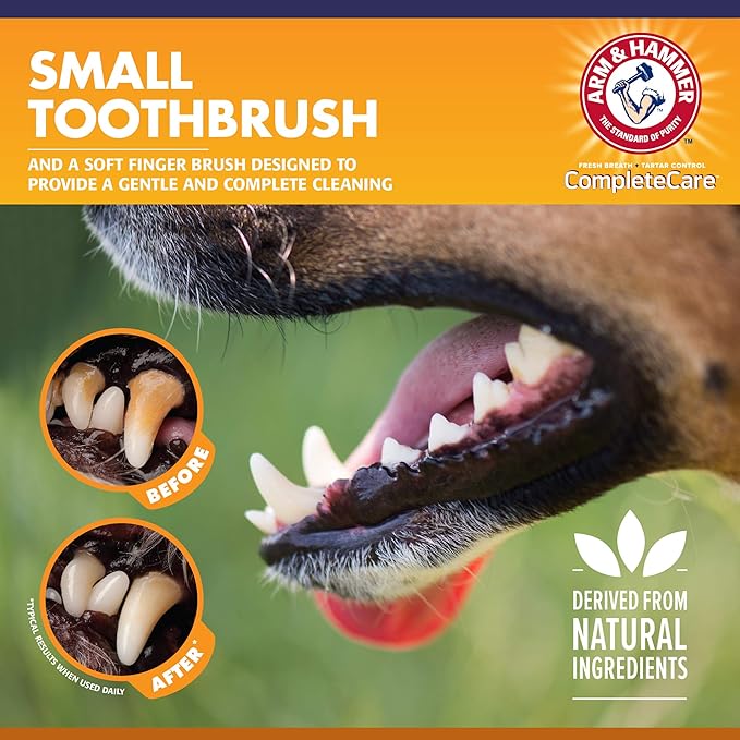 Arm & Hammer Complete Care Puppy Dental Kit, Chicken Flavor Enzymatic Dog Toothpaste, Toothbrush, & Microfiber Brush, Baking Soda + Calcium, Enhanced Formula, 2.5oz