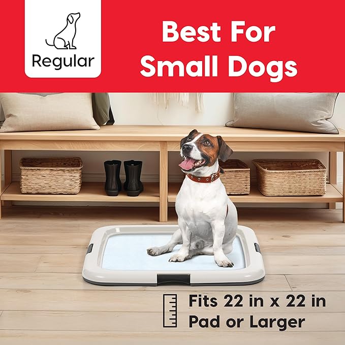 IRIS USA Pee Pad Holder - For Regular Sized Dog and Puppy Pee Pads, Secured Latches, Non-Skid Feet, High Polish Finish for Easy Cleaning, Leak Protection, Fits 22"x22" Pad or Larger, Square, Dark Gray