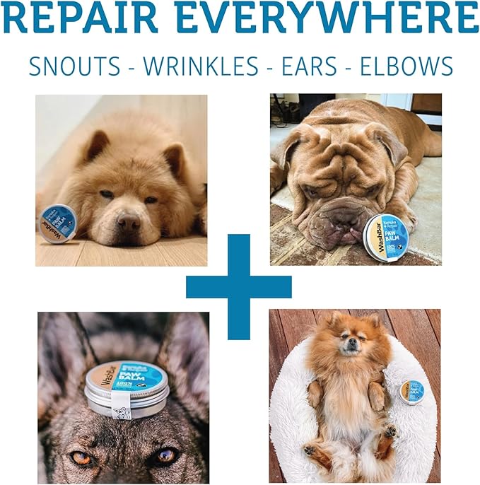 WashBar Dog Paw Balm for Cracked Paws | Natural Lick-Safe Paw Soother for Dog Paws, Nose and Skin | 1.7 oz Tin, Dog Paw Cream to Moisturize, Protect and Repair from Foot to Snout