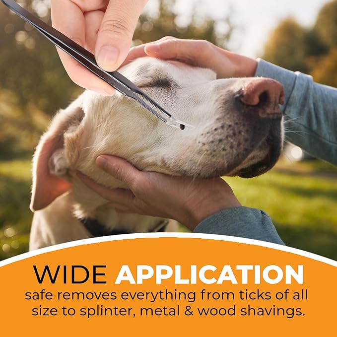 Premium Tick Removal Tool, Perfect Tick Remover for Dogs Cats &Humans, Safe Tick Control Puller, with Precision Fine Point Tip Curved Tweezers Set, Meet Various Needs, Stainless Steel- 2 Sets