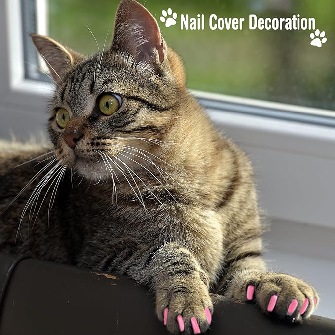 9 Pcs Cat Bathing Bag Set Cat Shower Bag Anti Bite and Scratch for Pet Grooming Washing Brush Comb Muzzle Nail Clipper Nail File Tick Tool(Pink)