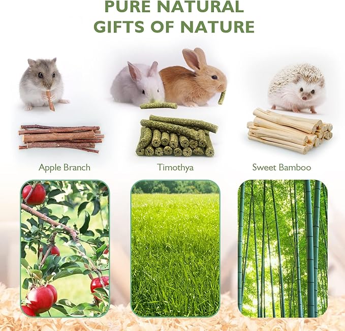 300g Guinea Pig & Rabbit Chew Toys with Apple & Timothy Sticks - Prevent Overgrown Teeth with Sweet Bamboo Treats - Ideal Rabbit Treats Included