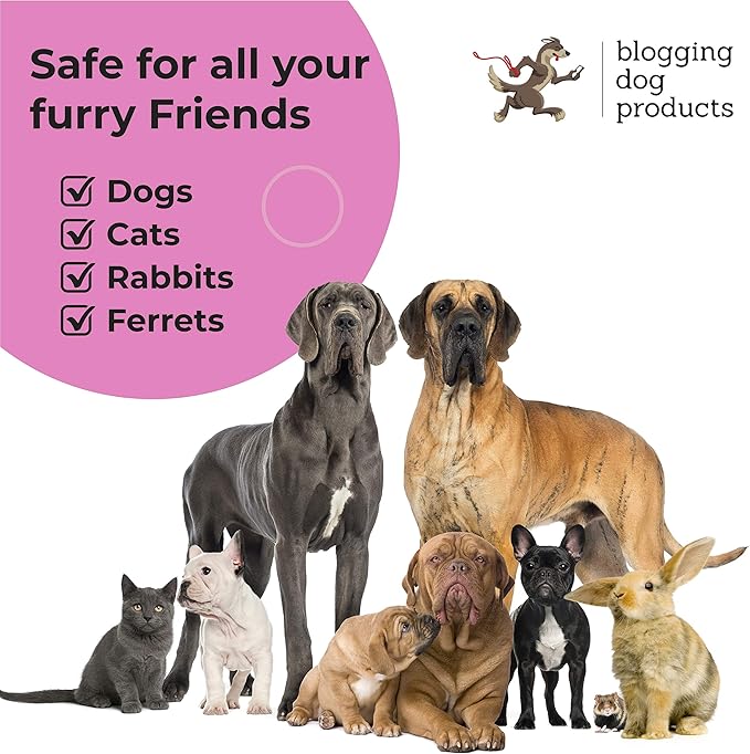 Dog Deodorizing Spray – Long-Lasting Dog Cologne & Pet Odor Eliminator – Cherry Blossom Scented Dog Perfume for Smelly Dogs – Safe, Refreshing Dog Grooming Spray