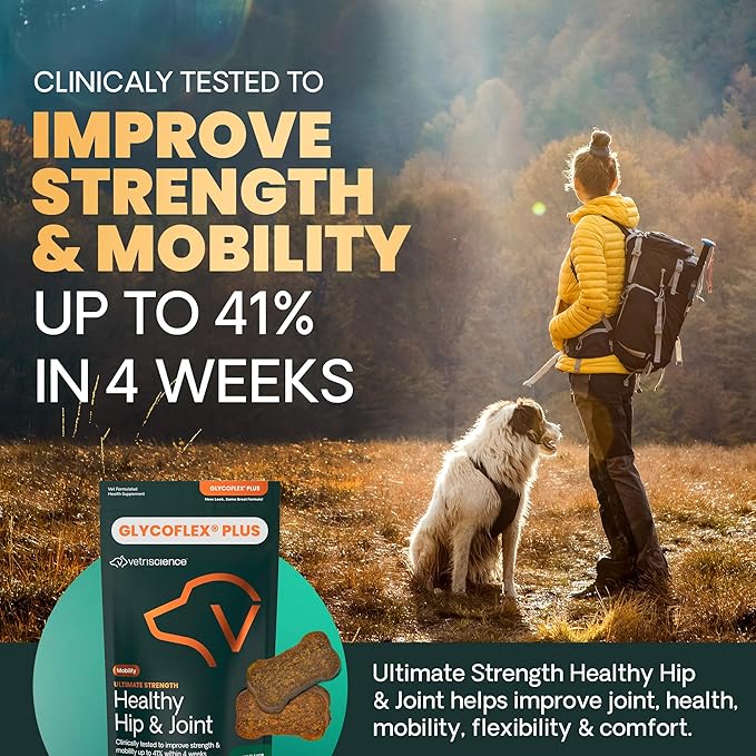 VetriScience Ultimate Strength Hip & Joint Supplement for Dogs, GlycoFlex Plus – MSM, Chondroitin & Green-Lipped Mussel Chews for Mobility, Flexibility, Comfort & Support, Duck Flavor, 60 Cnt