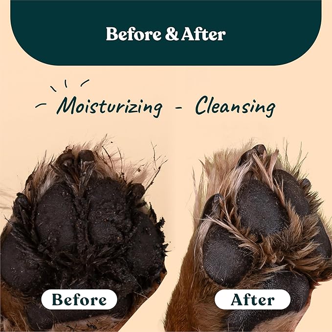 GENTLE CREATURES Magic Foam - Refill - Sulfate-Free, Waterless Shampoo Paw Cleaner for Dogs, Cats, Pets - Dry Shampoo, Foot Cleaner Brush - with Orange, Odor Control Wash - Good for Puppy