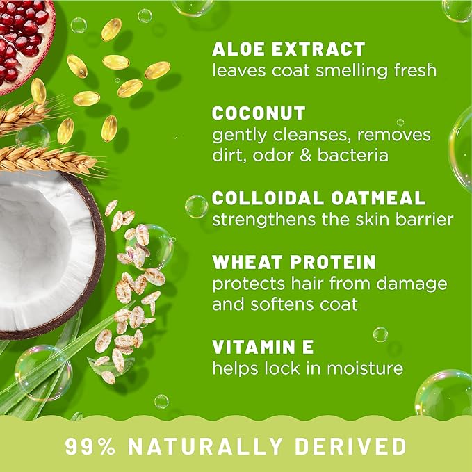 TropiClean Deodorizing Dog Shampoo for Smelly Dogs, Professional Dog Shampoo, Powerful Odor Control, Puppy Safe, Aloe & Coconut Scent, 2.5 Gallon