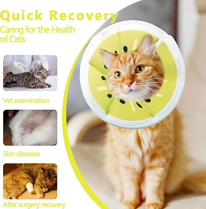 Soft Adjustable Cat Cone Collar, Comfortable Cat Recovery Collar Suitable for Various Types of Cats,Elizabethan Neck Protective Collar for Cats After Surgery (Gold Kiwi, Medium)